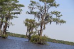resIMG_20180420_100746_9486.JPG